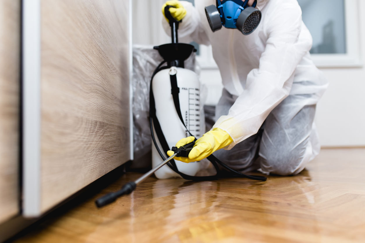 Pest control service in qatar